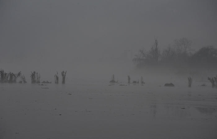 fotografie invernali sul Lago di Fimon, Arcugnano Colli Berici, Vicenza