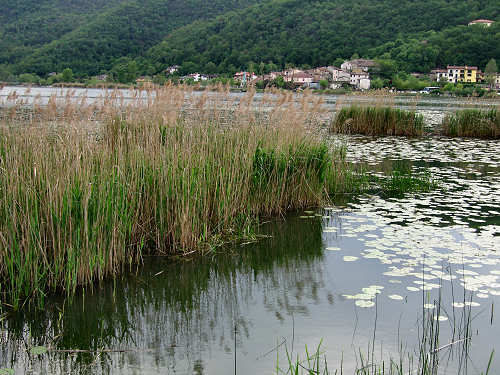 Lago di Fimon - Monti Berici