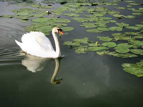 Lago di Fimon - Monti Berici