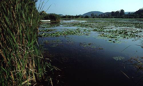 Lago di Fimon - Monti Berici