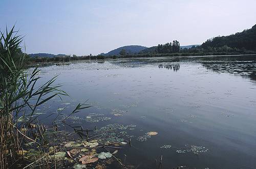 Lago di Fimon - Monti Berici