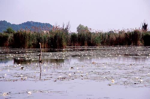 Lago di Fimon - Monti Berici