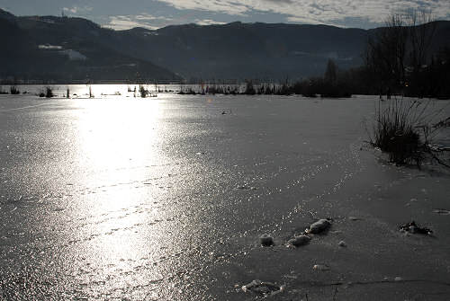 foto invernali al lago di Fimon, nei Colli Berici