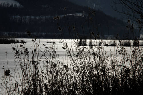 foto invernali al lago di Fimon, nei Colli Berici