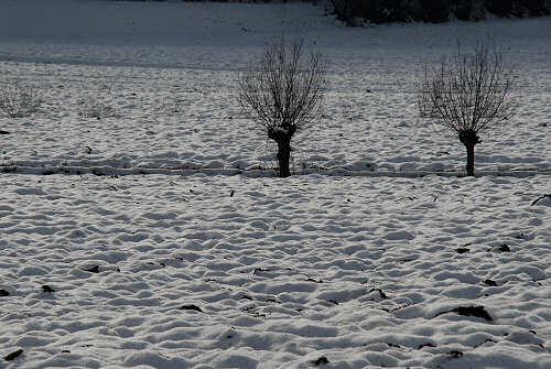 foto invernali al lago di Fimon, nei Colli Berici
