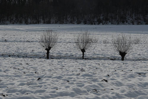 foto invernali al lago di Fimon, nei Colli Berici
