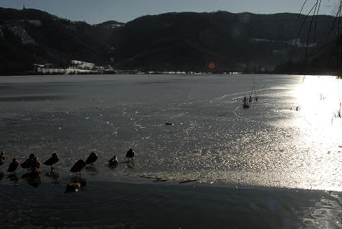 foto invernali al lago di Fimon, nei Colli Berici