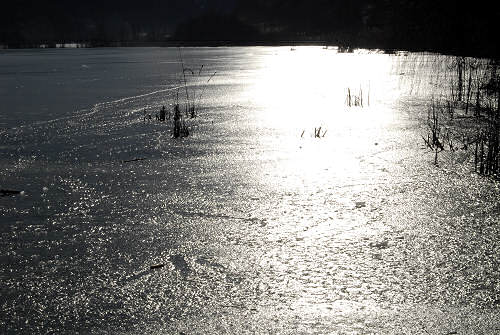 foto invernali al lago di Fimon, nei Colli Berici