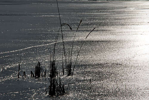 foto invernali al lago di Fimon, nei Colli Berici