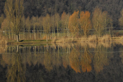 luci d'inverno al lago di Fimon, nei colli Berici