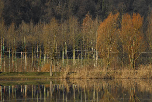 luci d'inverno al lago di Fimon, nei colli Berici
