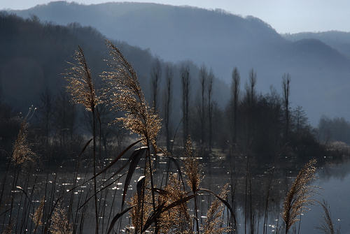 luci d'inverno al lago di Fimon, nei colli Berici