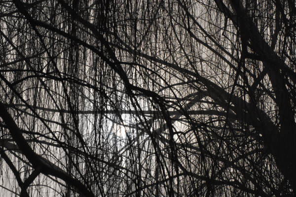 Lago di Fimon - Monti Berici