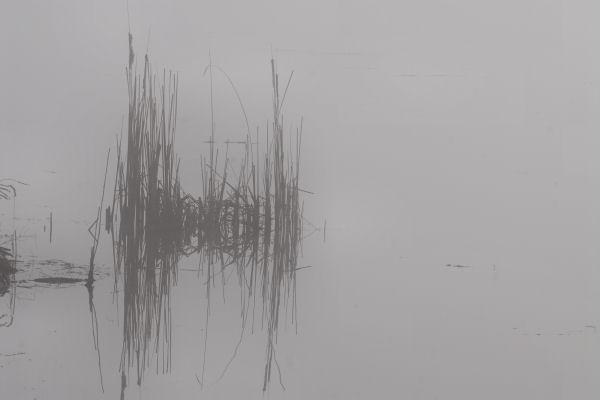 Lago di Fimon - Monti Berici