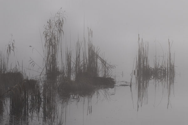 Lago di Fimon - Monti Berici