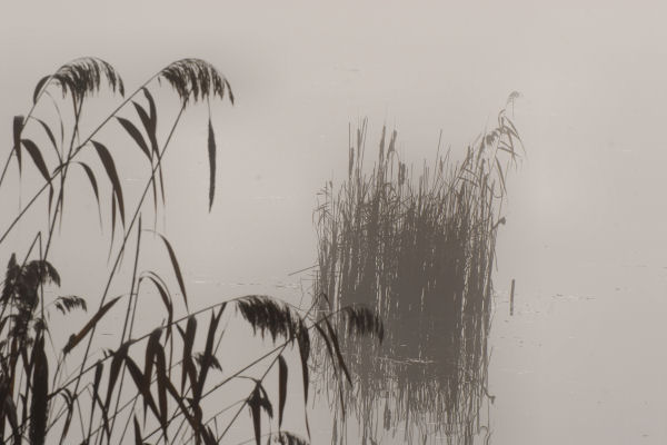 Lago di Fimon - Monti Berici