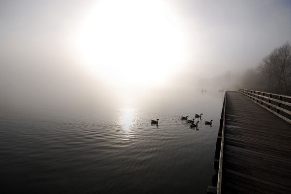 Lago di Fimon - Monti Berici