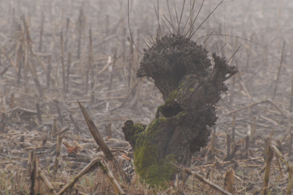 Lago di Fimon - Monti Berici