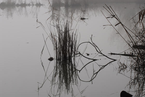Lago di Fimon - Monti Berici