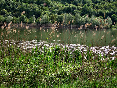 Valli di Fimon e lago di Fimon ad Arcugnano nei Colli Berici