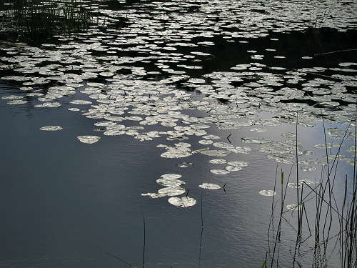 Valli di Fimon e lago di Fimon ad Arcugnano nei Colli Berici