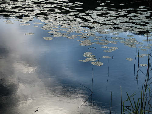 Valli di Fimon e lago di Fimon ad Arcugnano nei Colli Berici