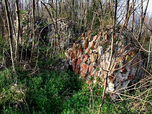 Castello di Orgiano, Colli Berici