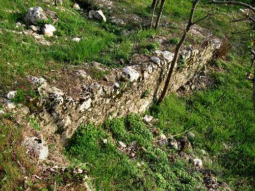 Castello di Orgiano, Colli Berici