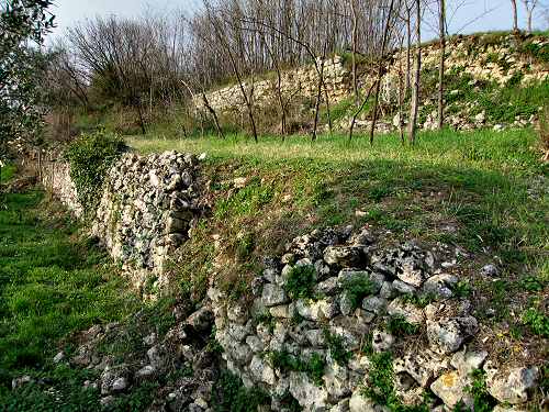 Castello di Orgiano, Colli Berici