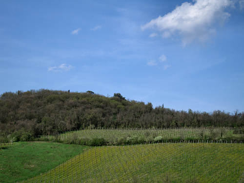 Riviera Berica - Strada dei Vini dei Colli Berici