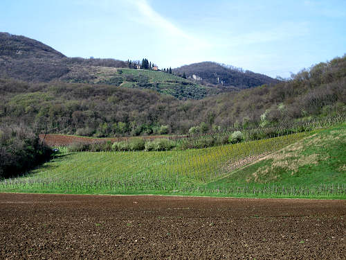 Riviera Berica - Strada dei Vini dei Colli Berici