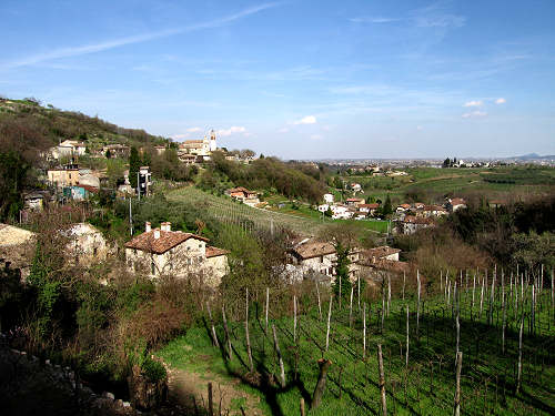 Riviera Berica - Strada dei Vini dei Colli Berici