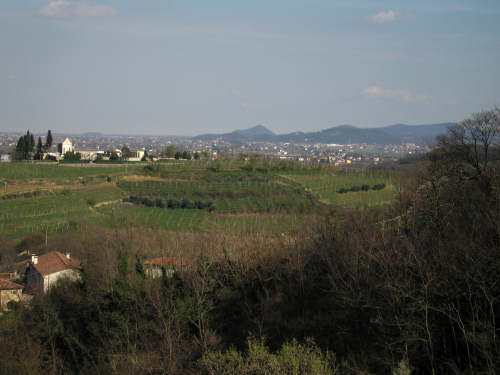 Riviera Berica - Strada dei Vini dei Colli Berici