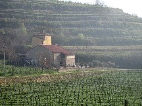 Riviera Berica - Strada dei Vini dei Colli Berici