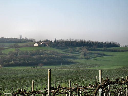 Riviera Berica - Strada dei Vini dei Colli Berici