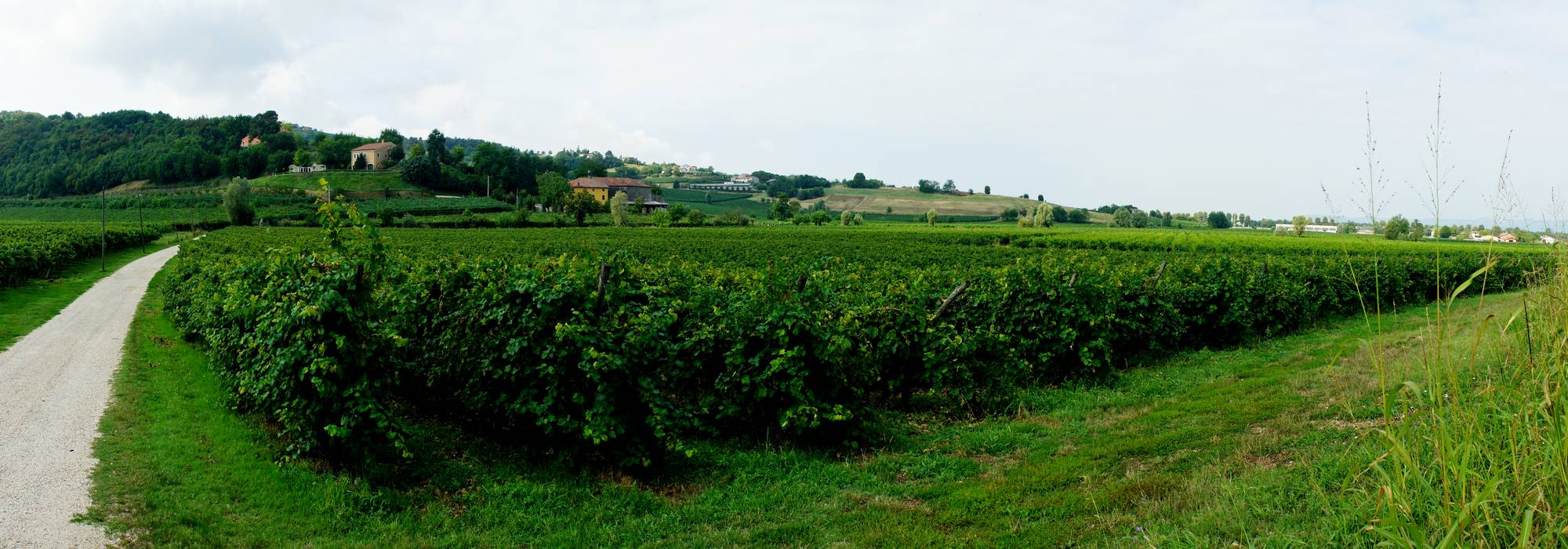 Ca'Cantona Valle Massina - Meledo di Sarego