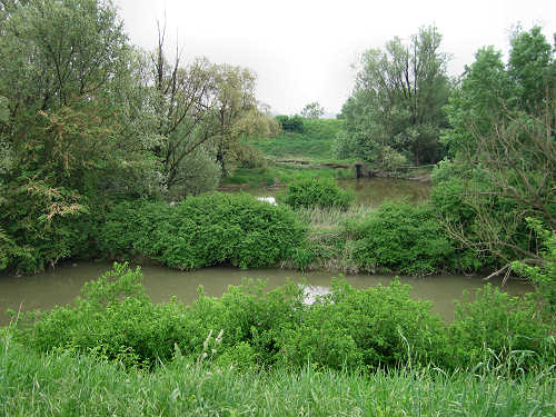 Fiume Frassine da Este al Bosco dei Lavacci a Carmignano di Sant'Urbano