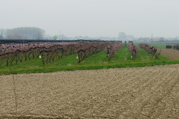 Itinerario Anello delle città murate - Provincia di Padova