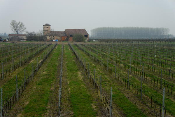 Itinerario Anello delle città murate - Provincia di Padova