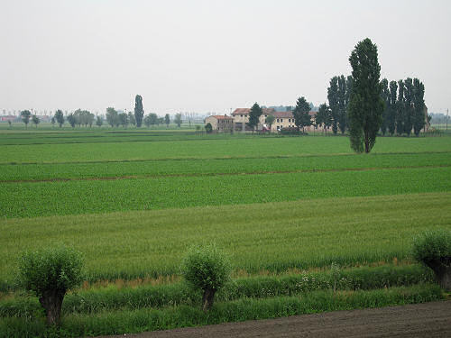 argine Fratta Gorzone