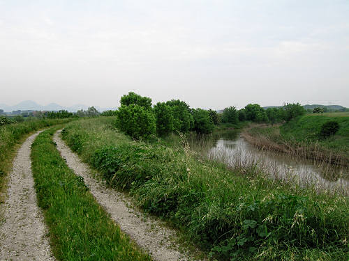 argine Fratta Gorzone