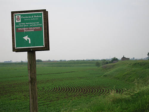 argine Fratta Gorzone