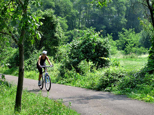 Ciclopista del Brenta - Enego - Tombion (Valsugana)