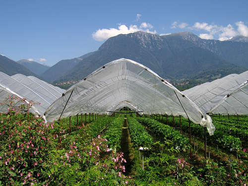pista ciclabile della Valsugana