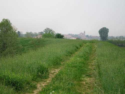 Fiume Frassine da Este al Bosco dei Lavacci a Carmignano di Sant'Urbano