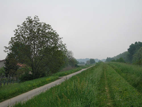 Fiume Frassine da Este al Bosco dei Lavacci a Carmignano di Sant'Urbano