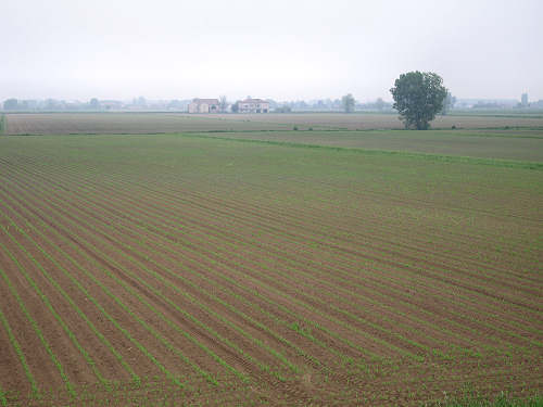 Fiume Frassine da Este al Bosco dei Lavacci a Carmignano di Sant'Urbano