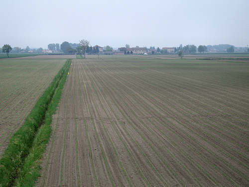 Fiume Frassine da Este al Bosco dei Lavacci a Carmignano di Sant'Urbano