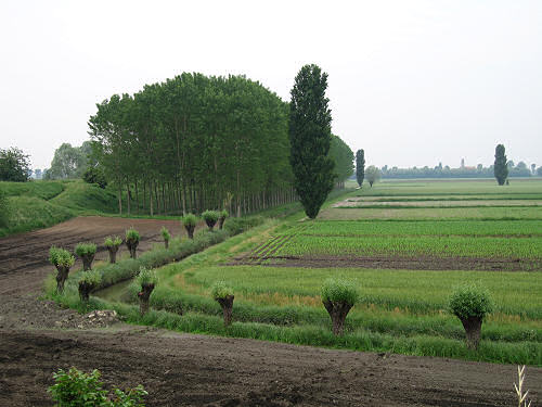 argine Fratta Gorzone