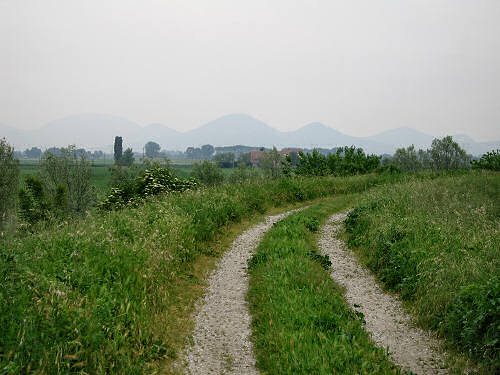 argine Fratta Gorzone